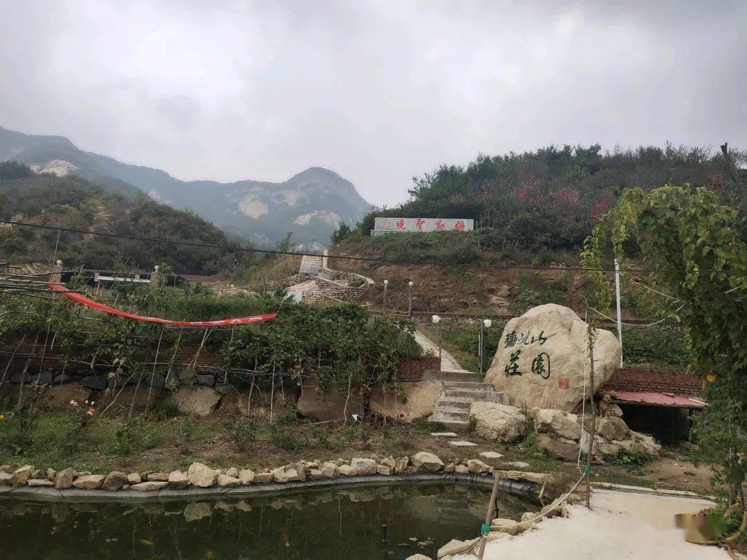 莱曼忆阿森纳不败赛季:我的表现稳定可靠,很高兴曾是其中一员